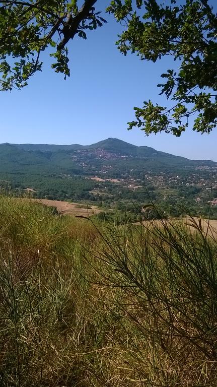 B&B Il Pantanello Rocca Di Papa Eksteriør bilde