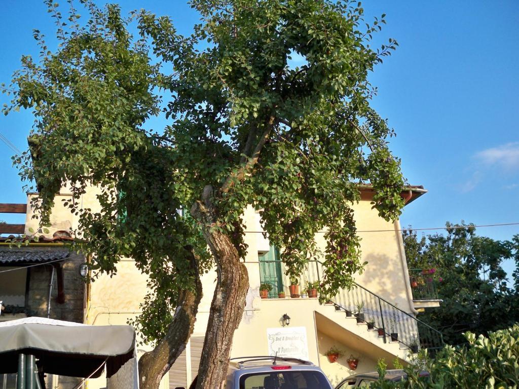 B&B Il Pantanello Rocca Di Papa Eksteriør bilde